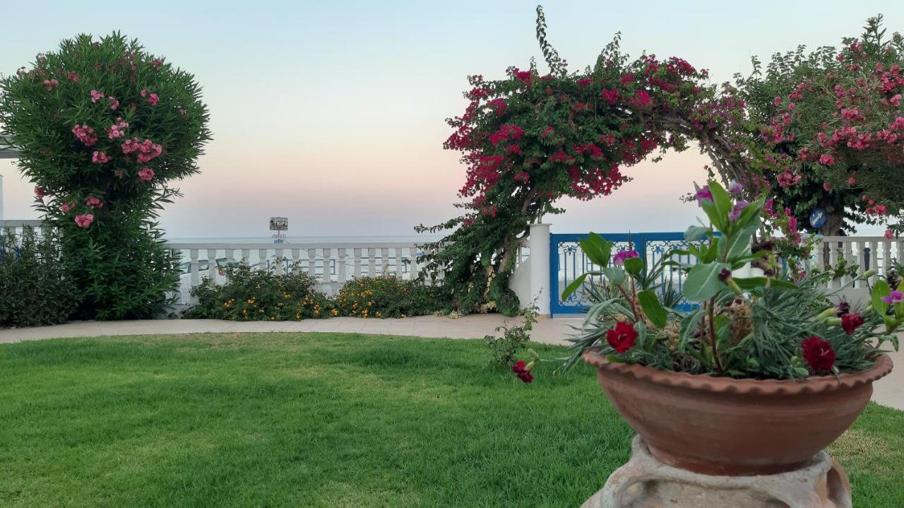 Antonios Apartments Stegna アルハンゲロス エクステリア 写真