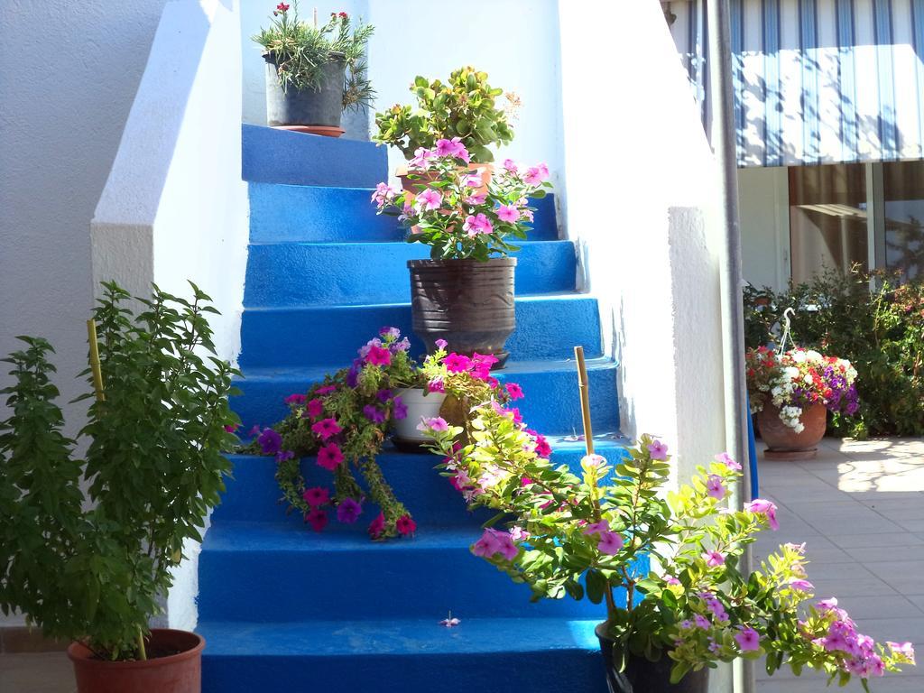 Antonios Apartments Stegna アルハンゲロス エクステリア 写真